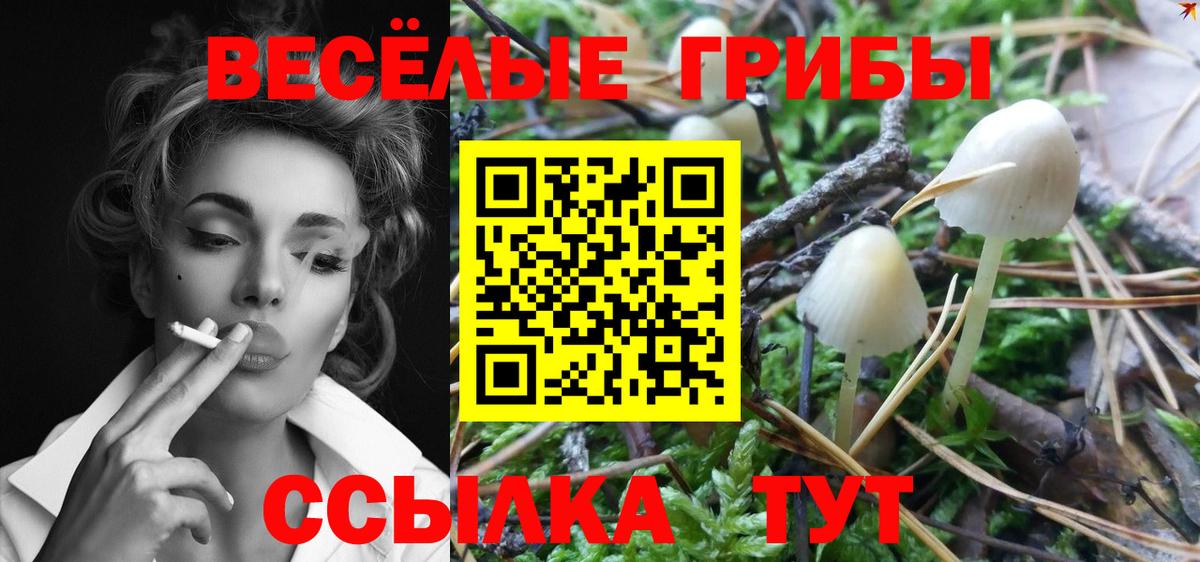 Бийск  Псилоцибиновые грибы Psilocybe  Галлюциногенные грибы мицелий  наркота  Вход с VPN 