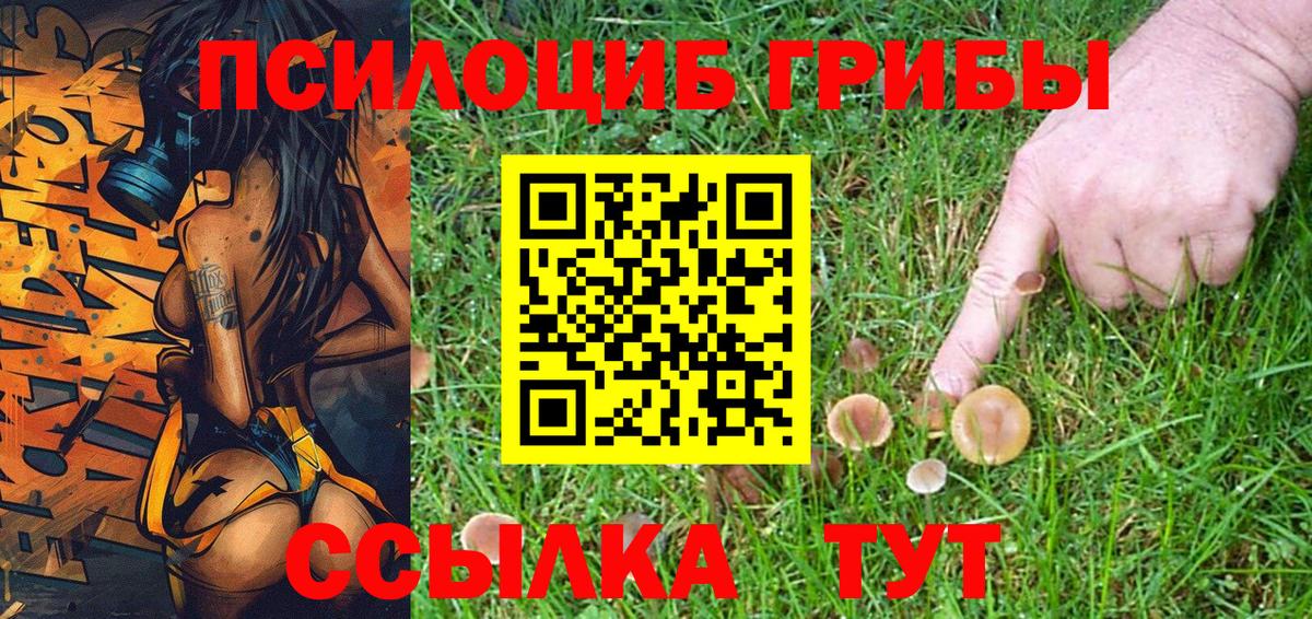 Псилоцибиновые грибы ЛСД Бийск
